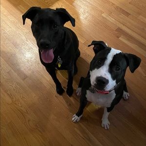 Meet your Posher, Laurie